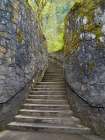 Oregon, USA. Columbia River Gorge National Scenic Area, stairway . Art Print